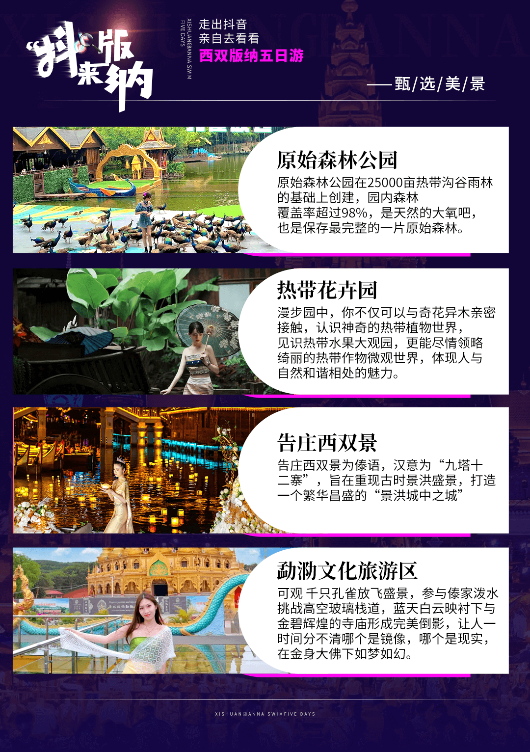 图片7 图片7