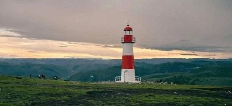 008 008