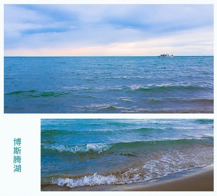 016 016