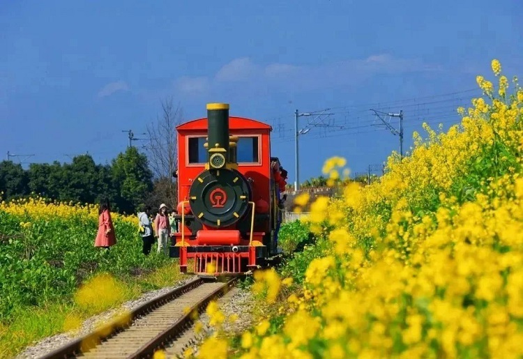 成都旅游攻略||周末出游春季賞花攻略【青龍湖濕地公園+漫花莊園+新津區(qū)天府農(nóng)博園+蔚然花海 +簧柏路中油菜】