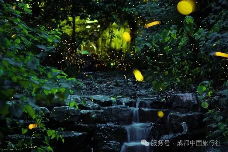 成都旅游攻略‖畢業(yè)旅行打卡邛崍小眾景點【天臺山-川西竹海-平樂古鎮(zhèn)-邛崍石窟】