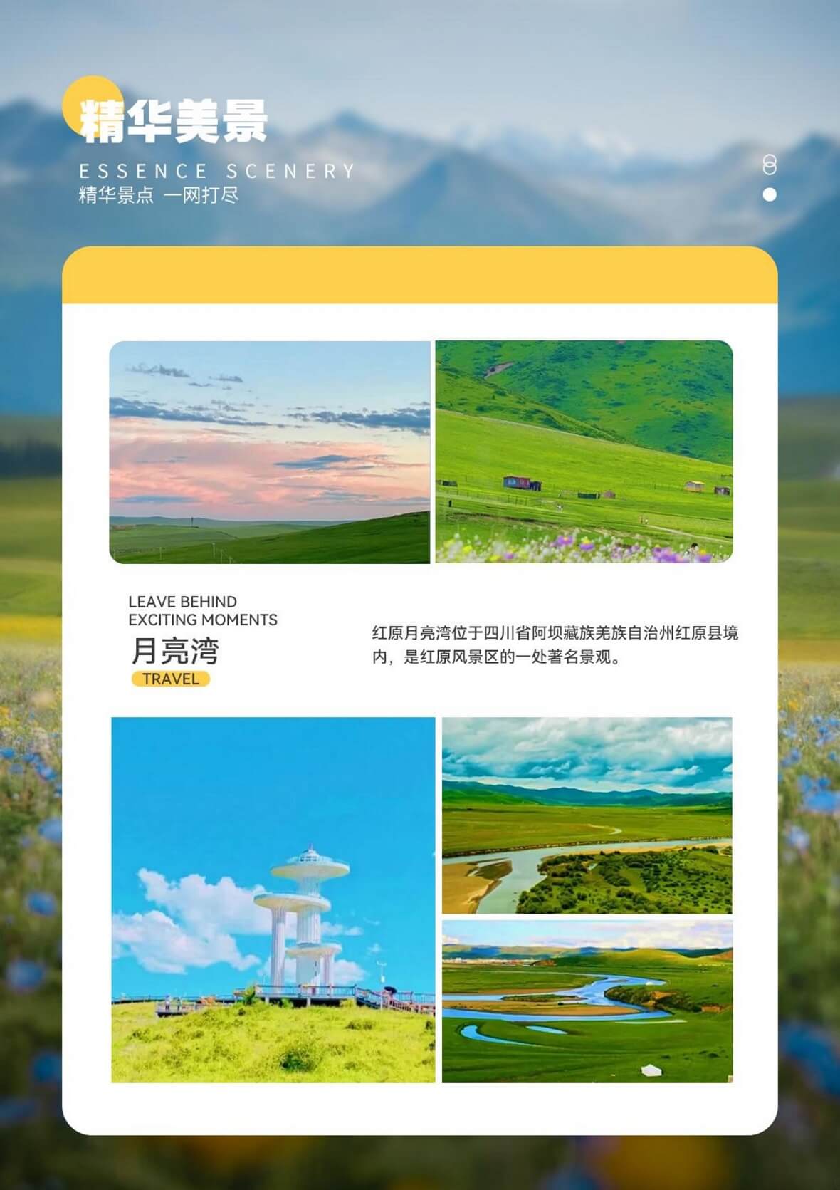 图片14 图片14