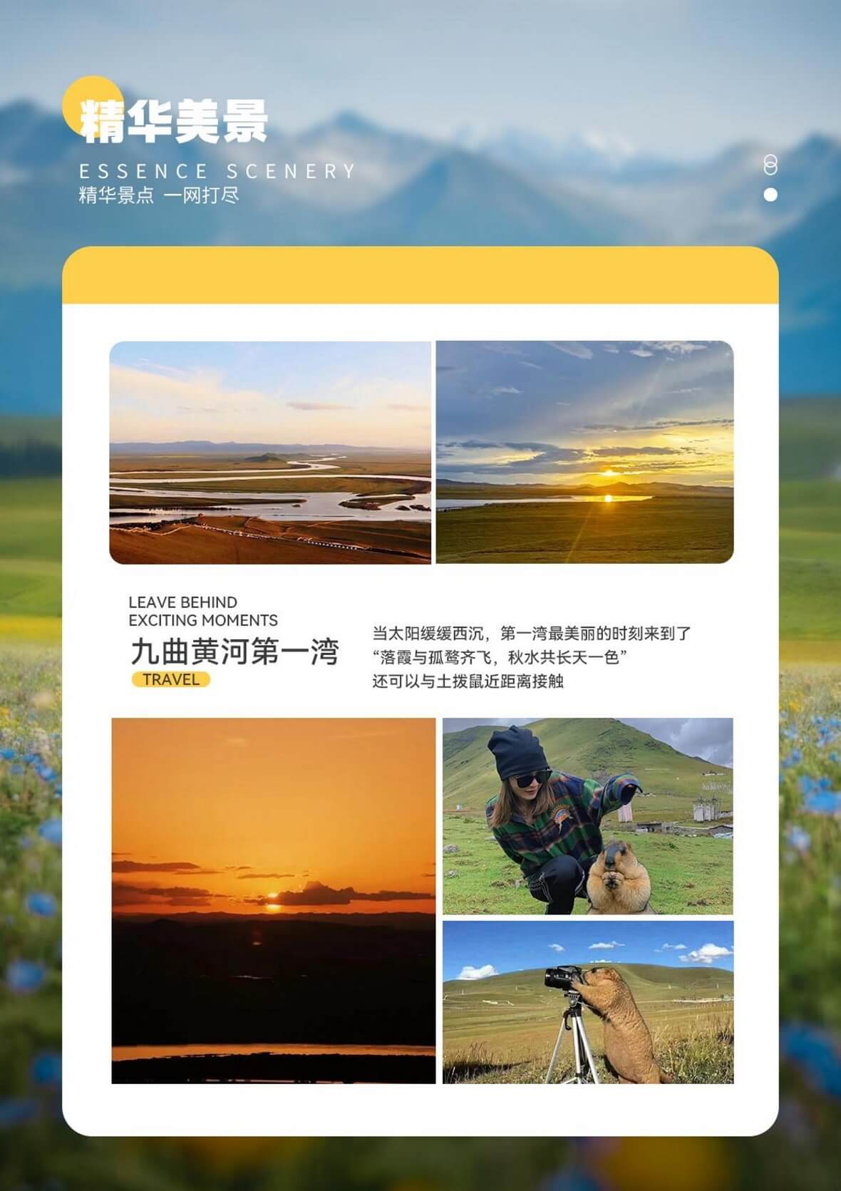 图片13 图片13