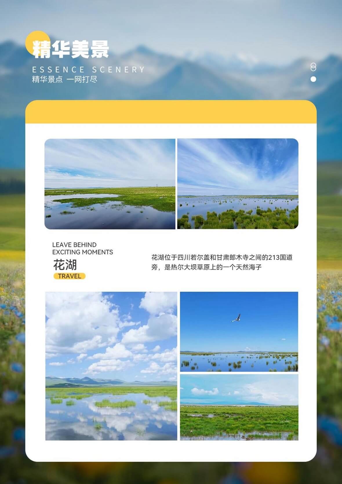 图片11 图片11