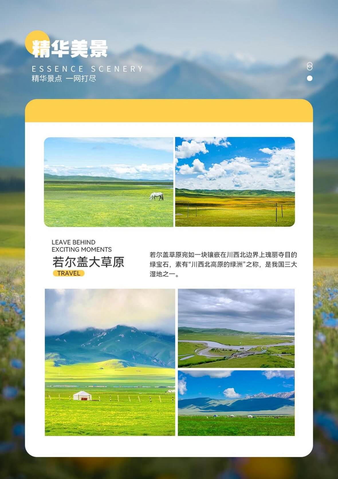 图片14 图片14