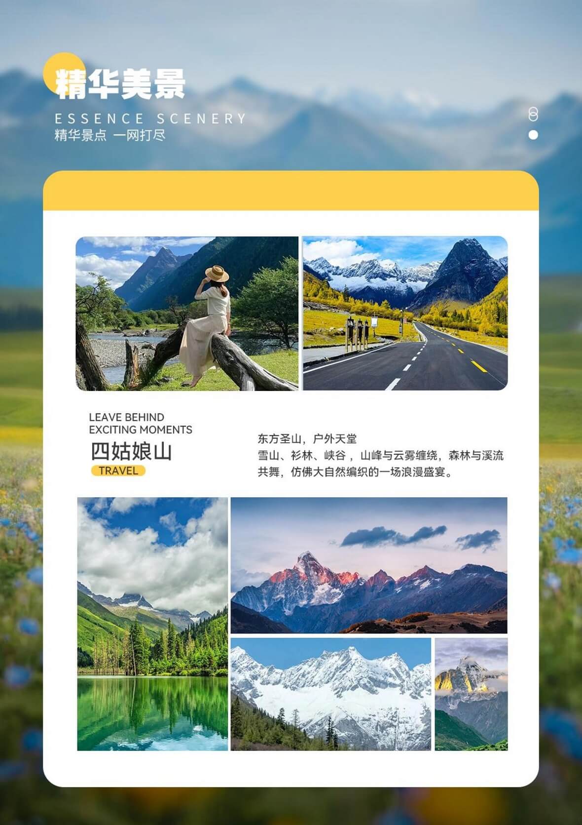 图片11 图片11