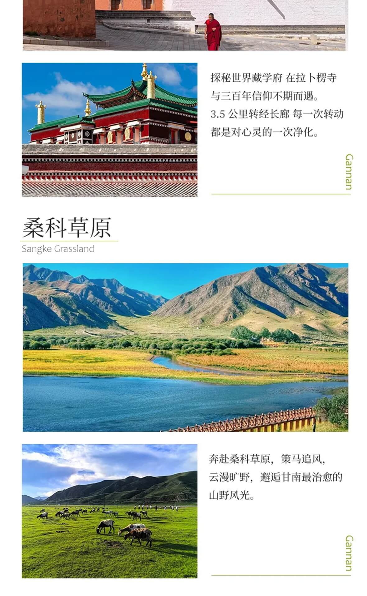 甘南小环线3天_10 甘南小环线3天_10