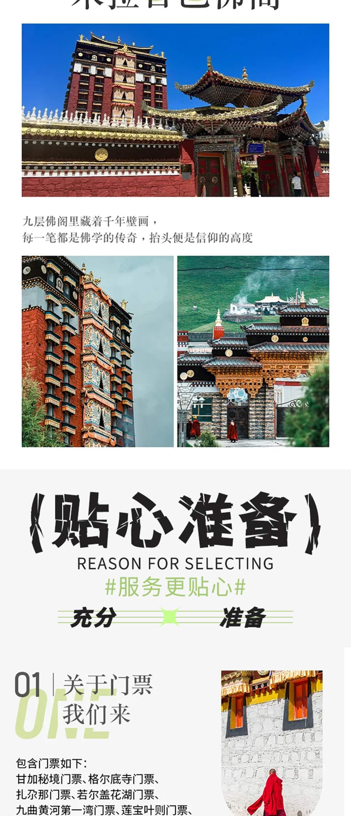 甘南8天_12 甘南8天_12